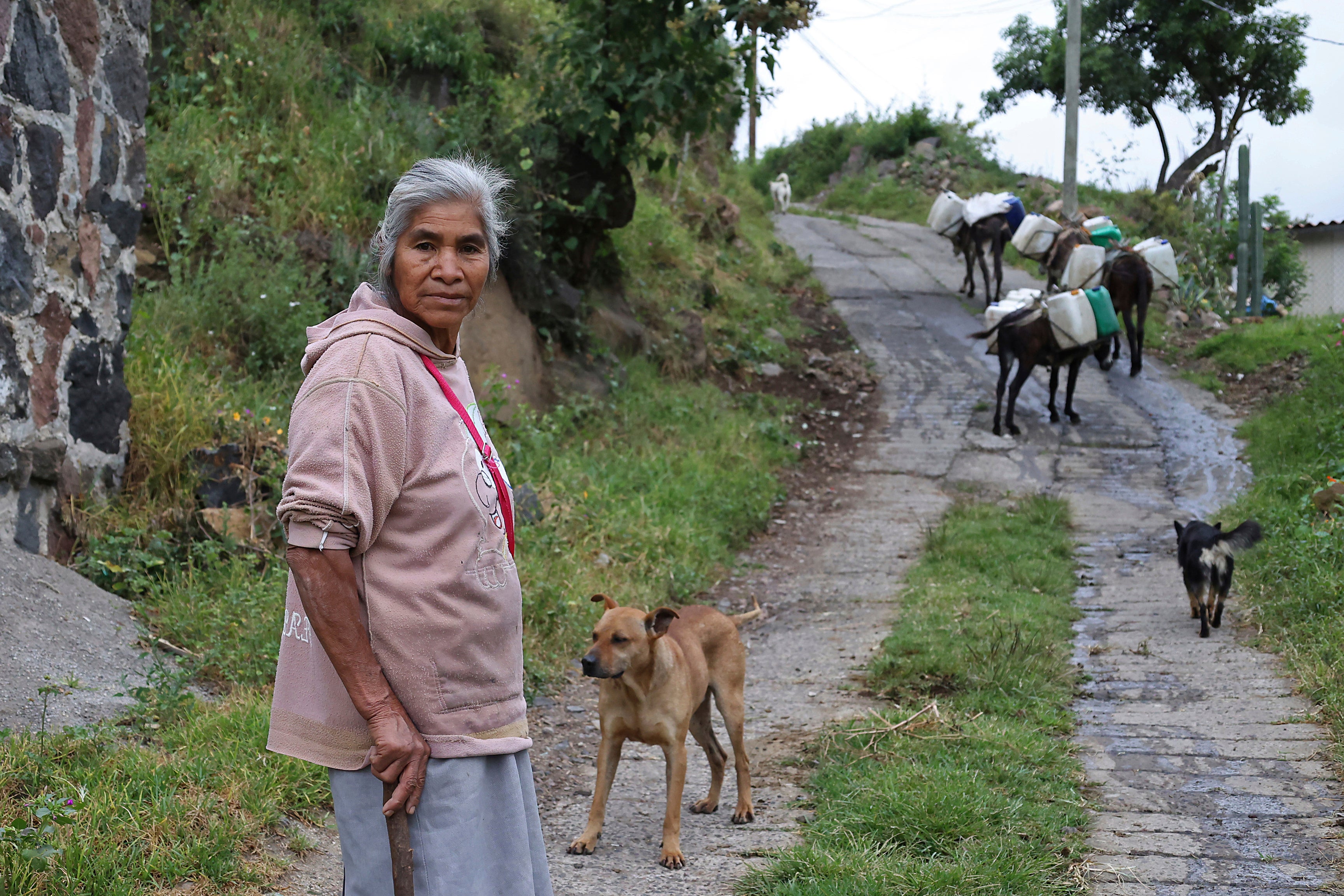 Mexico Water Reservoirs