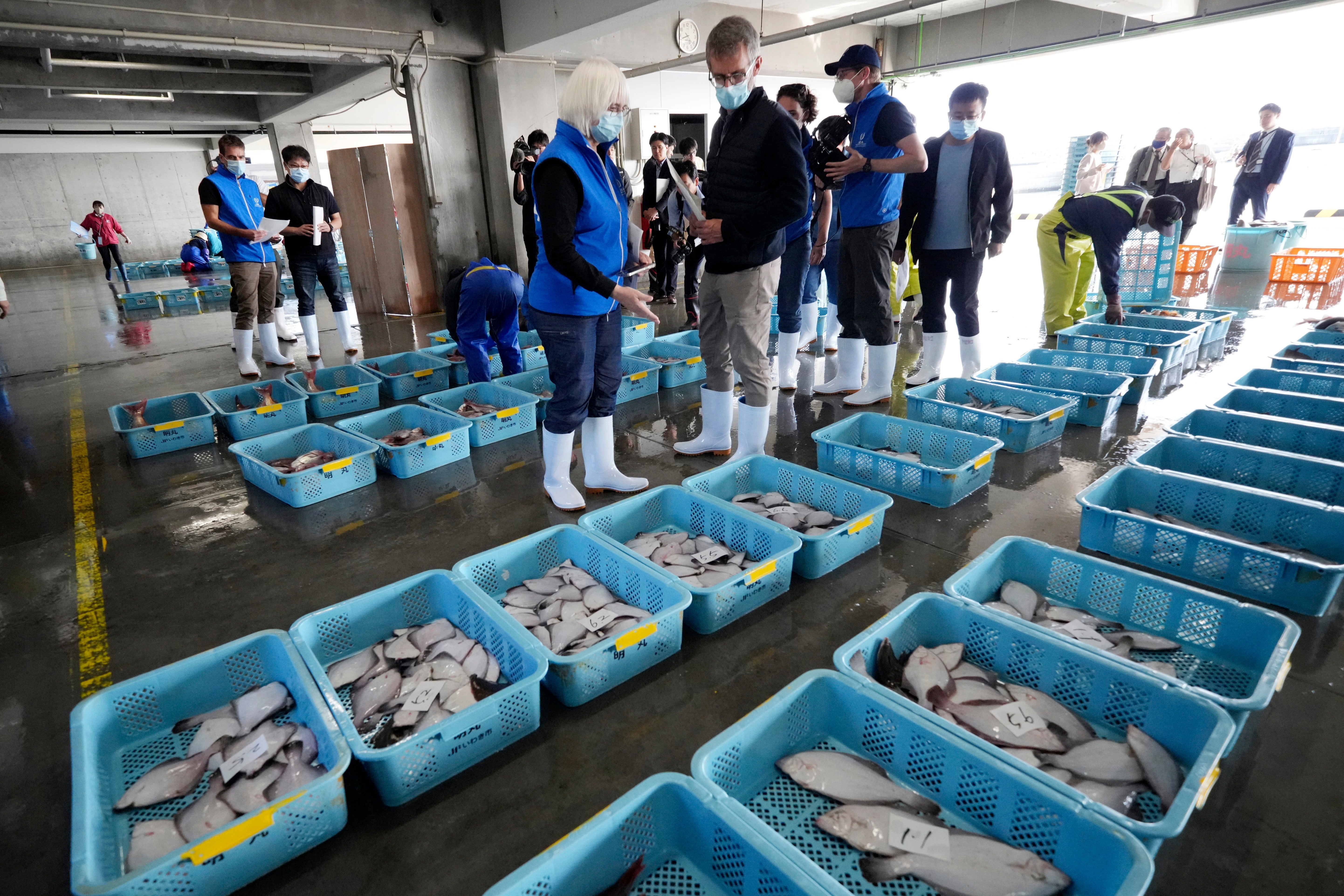 Japan Nuclear Fukushima IAEA