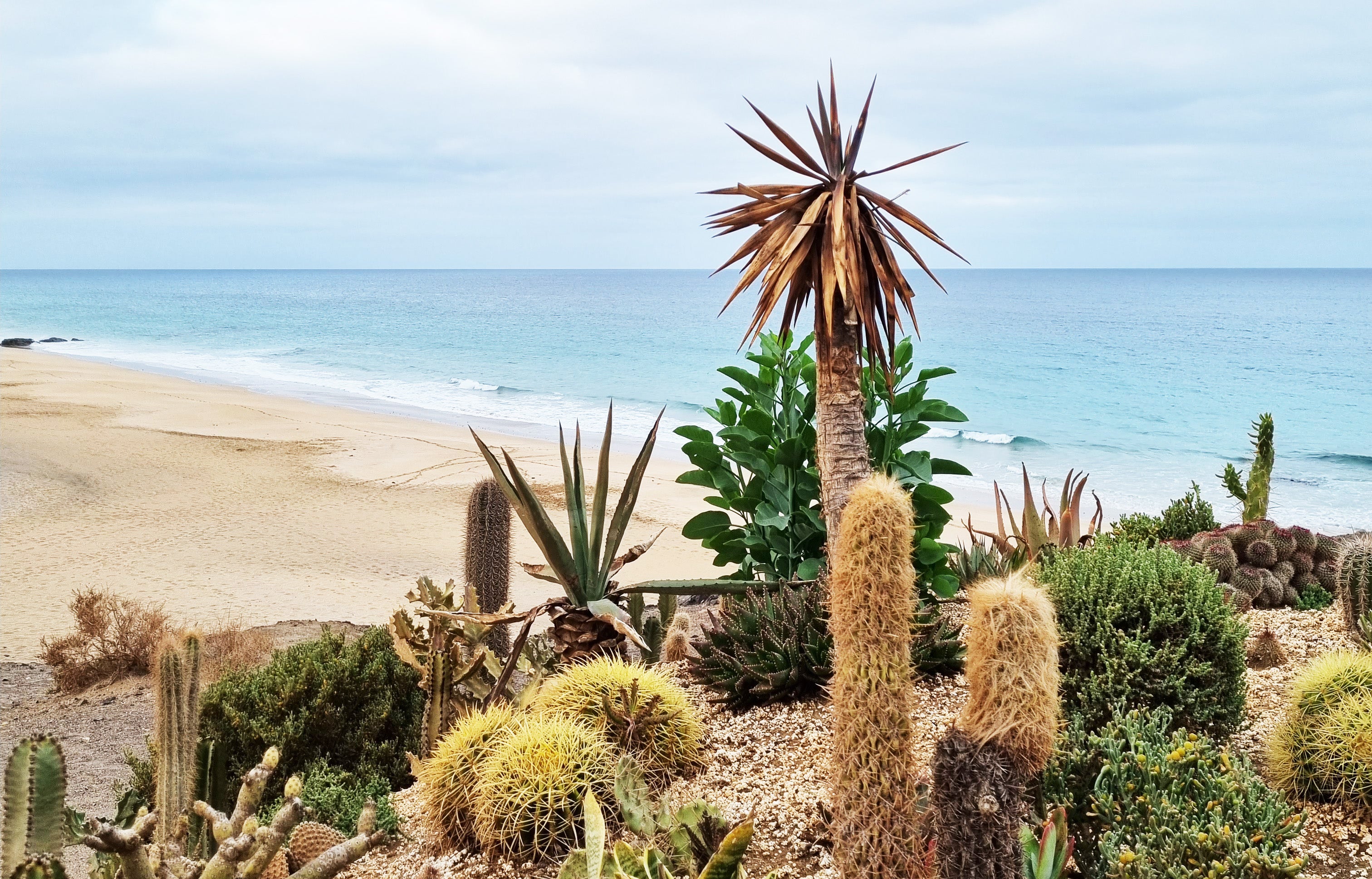 Escape into nature on one of Fuerteventura’s stunning shores