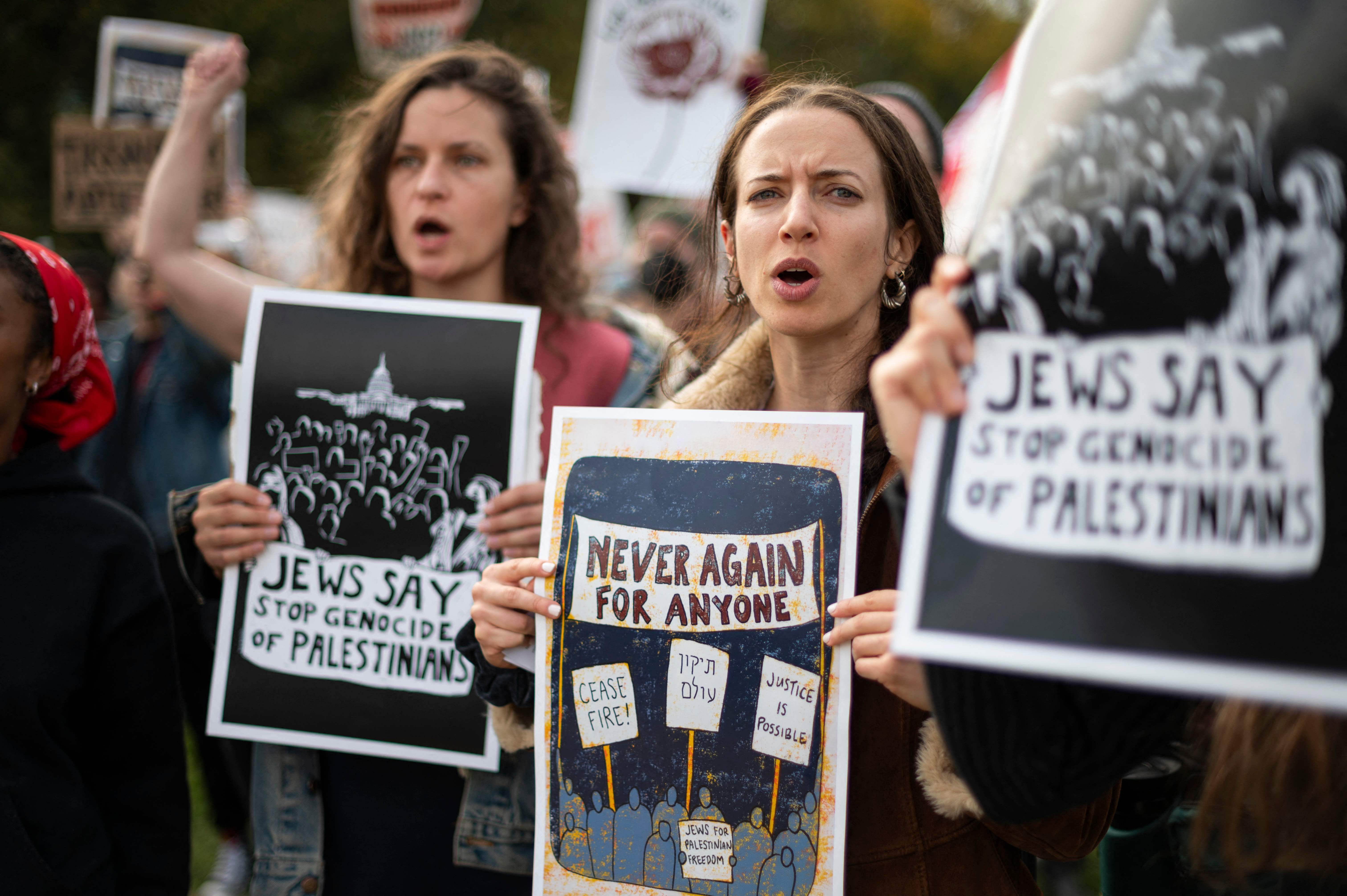 Protesters attend a rally against Israeli military operations in Gaza in Washington, DC on 18 October.