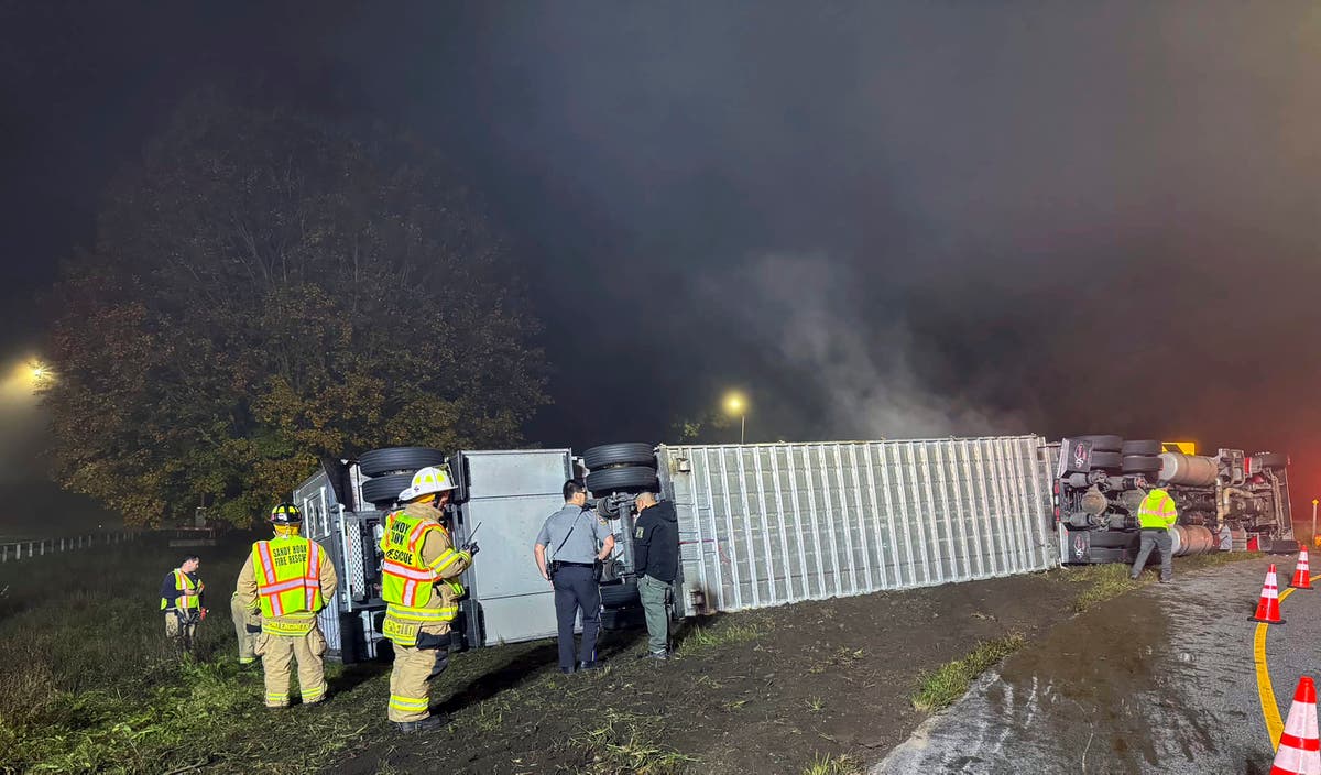 14 cows killed, others survive truck rollover crash in Connecticut 14 cows killed, others survive truck rollover crash in Connecticut