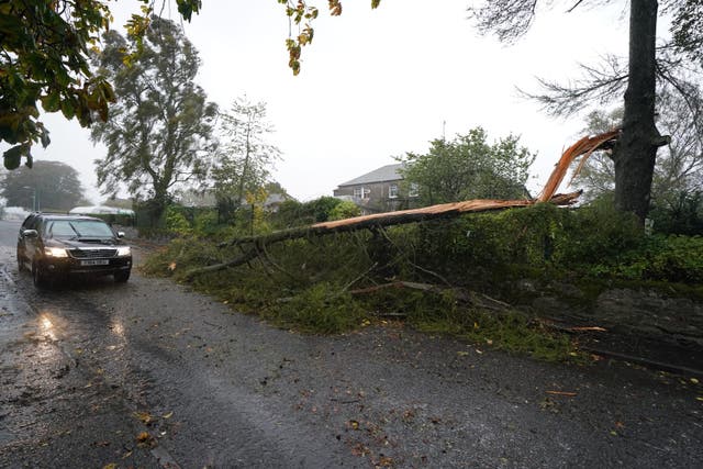 A fallen tree in Brechin as Storm Babet hits Scotland (Andrew Milligan/PA)