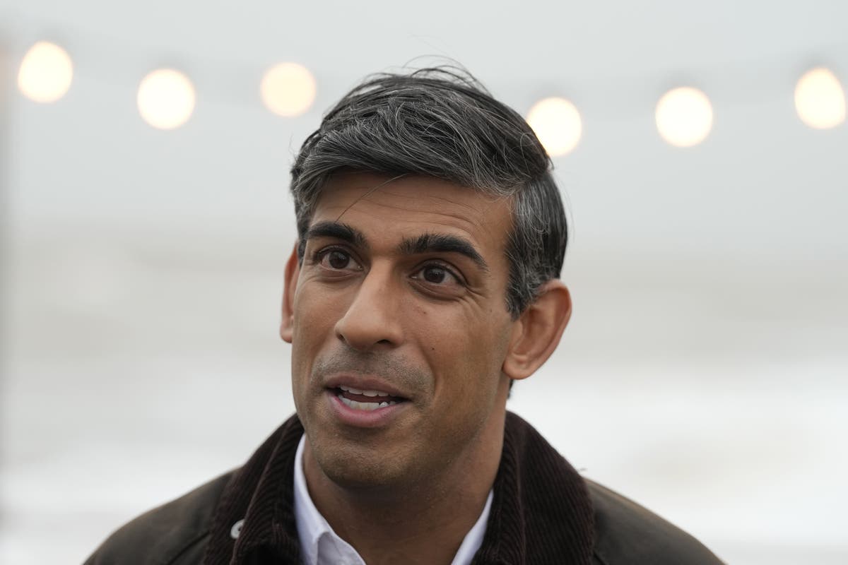 Rishi Sunak says aid crossing should open ‘imminently’ after talks with Egyptian and Palestinian leaders Rishi Sunak says aid crossing should open ‘imminently’ after talks with Egyptian and Palestinian leaders
