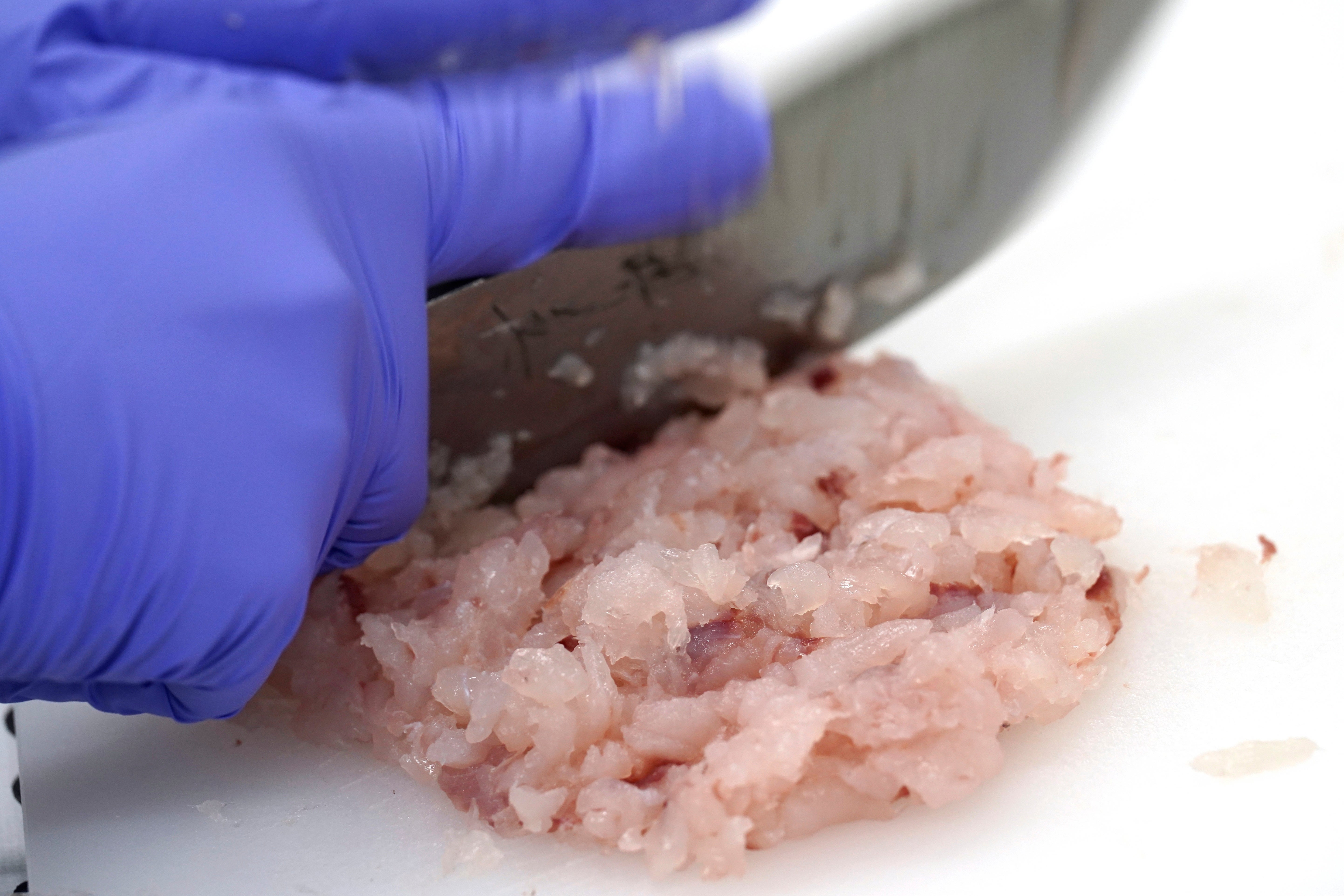 Japan Nuclear Fukushima IAEA