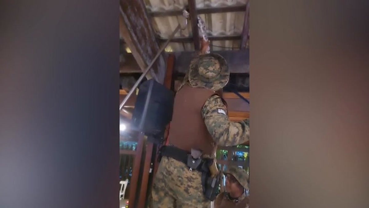 Terrified diners flee boa constrictor seen in restaurant ceiling in Brazil