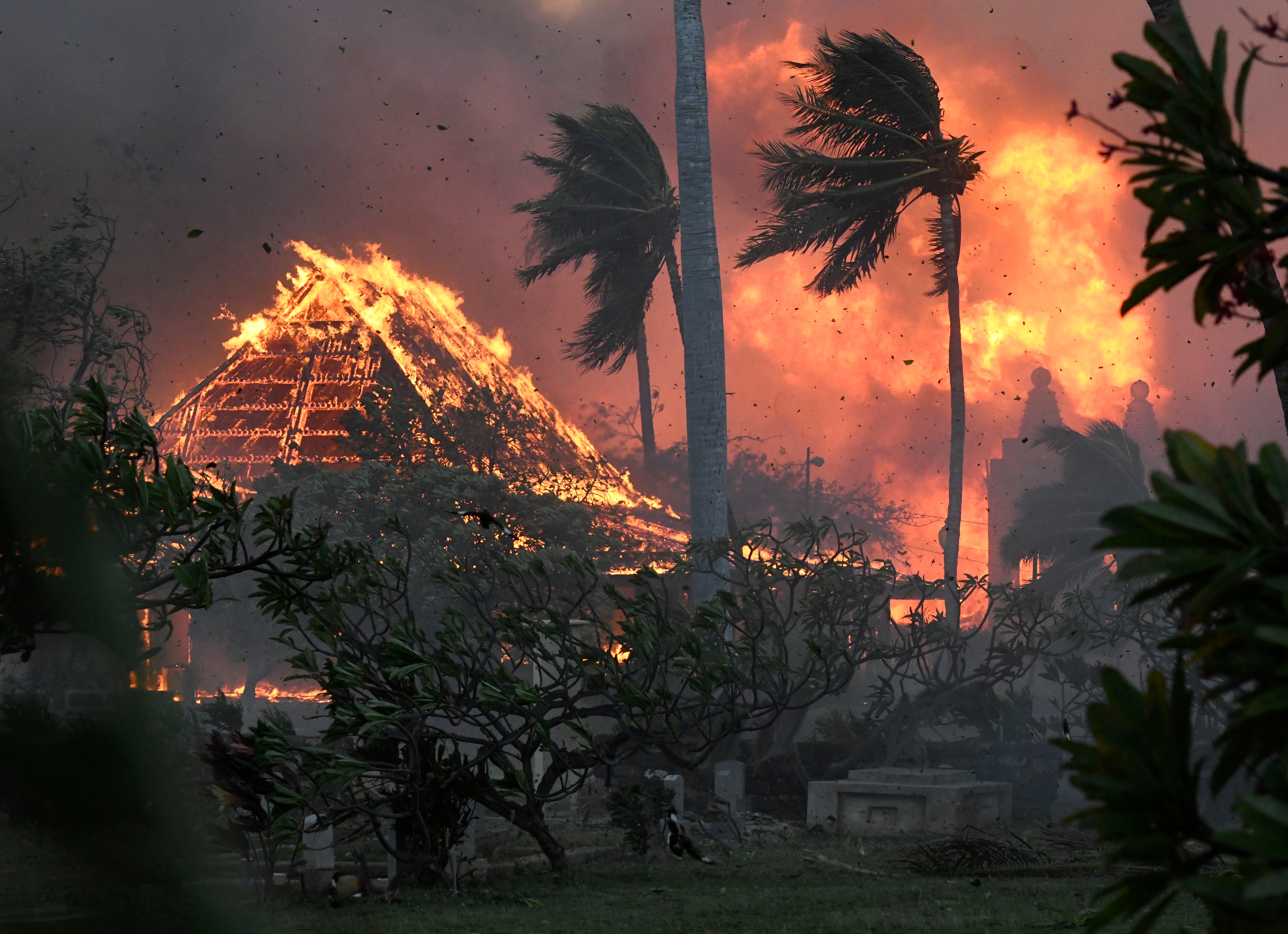Wildfires devastating the Hawaiian island of Maui last year