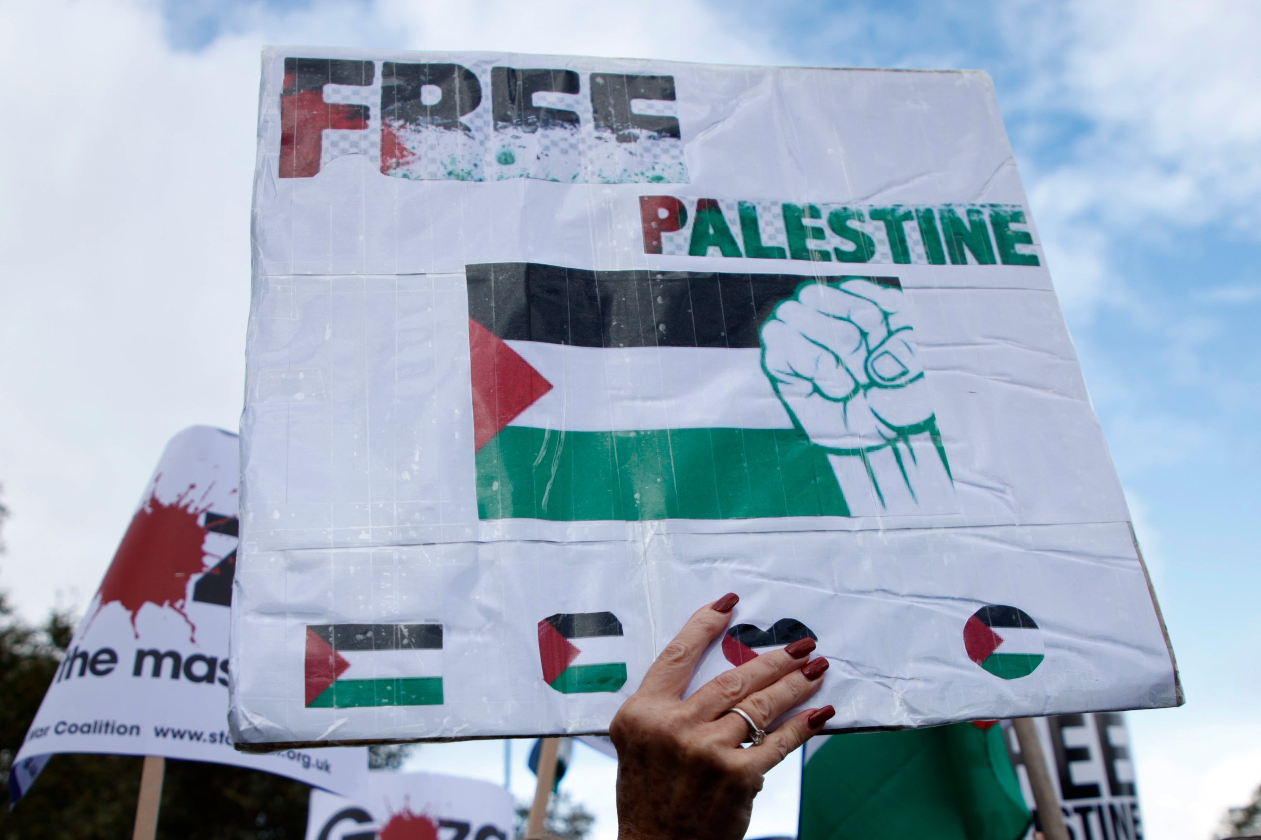 Demonstrators hold up flags and placards during a pro-Palestinian march in London
