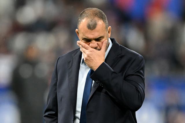 <p>Michael Cheika led Argentina to a World Cup semi-final but they were trounced by New Zealand </p>