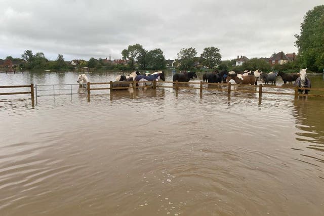 Flooding at St Leonard’s Riding School and Livery Stable in Toton, Nottinghamshire after Storm Babet hit (Sally Carnelley/PA)