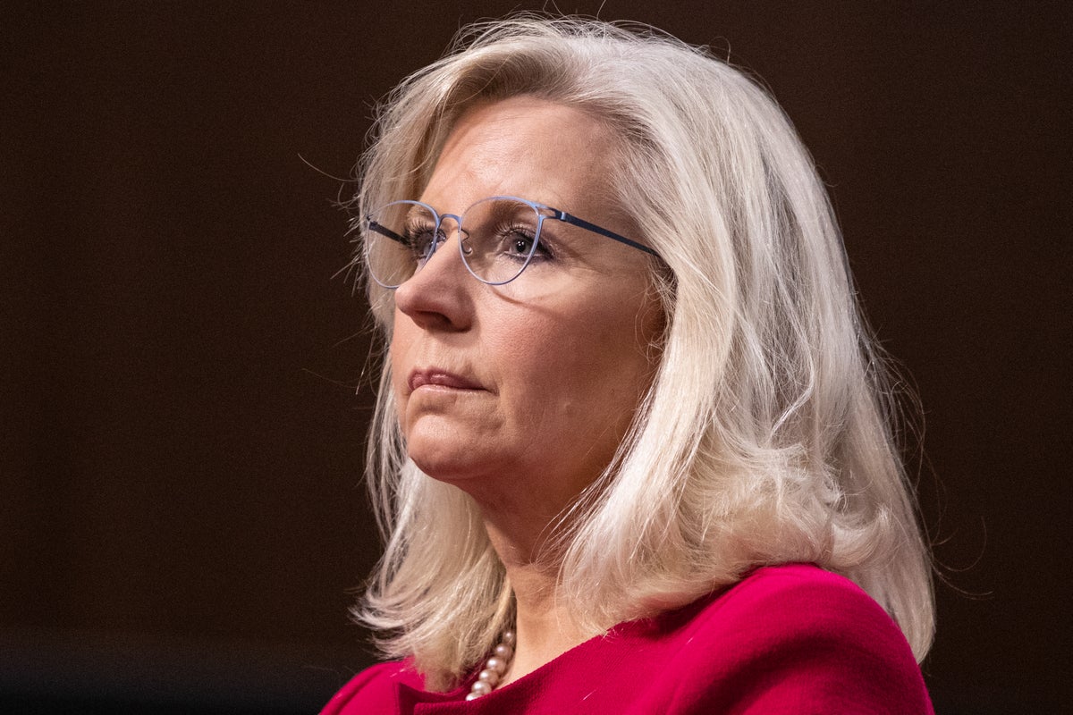 Liz Cheney chides GOP senator for promoting latest Jan 6 conspiracy: ‘You’re a lawyer, Mike’