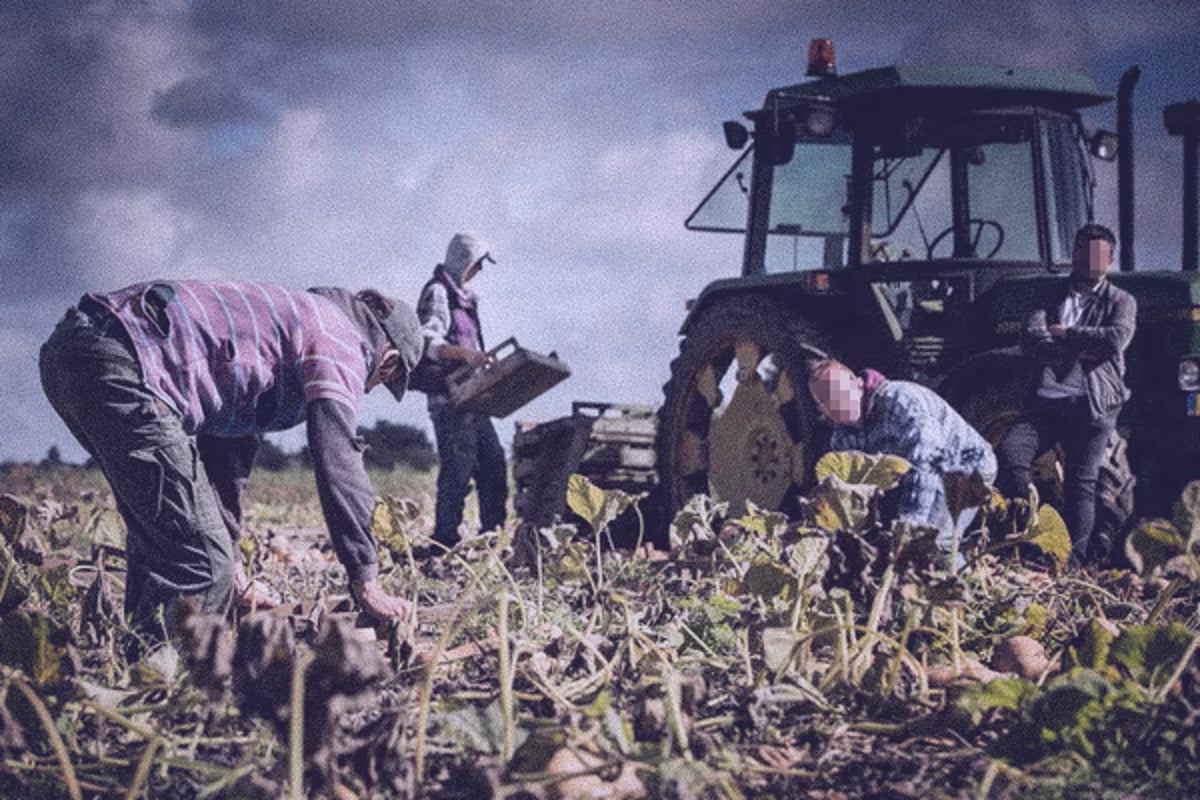 Exposed: Secret report on UK modern slavery they didn’t want you to see
