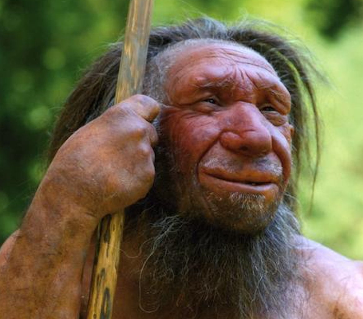 <p>File photo of neanderthal face reconstruction</p>