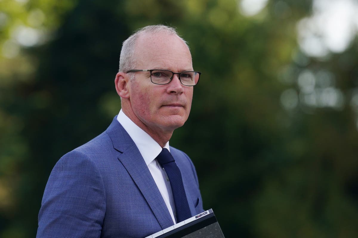 Israeli ambassador’s comments on Irish president not helpful, says minister Israeli ambassador’s comments on Irish president not helpful, says minister