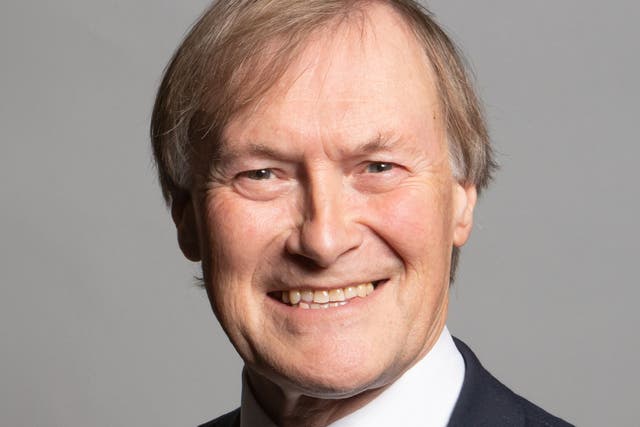 Sir David Amess was an MP for nearly 40 years (Chris McAndrew/PA)