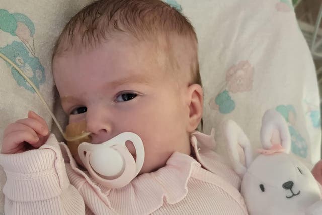 Indi Gregory will be eight months old on Tuesday (Family handout/GoFundMe/PA)