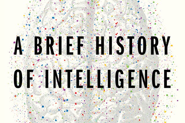 Book Review - A Brief History of Intelligence