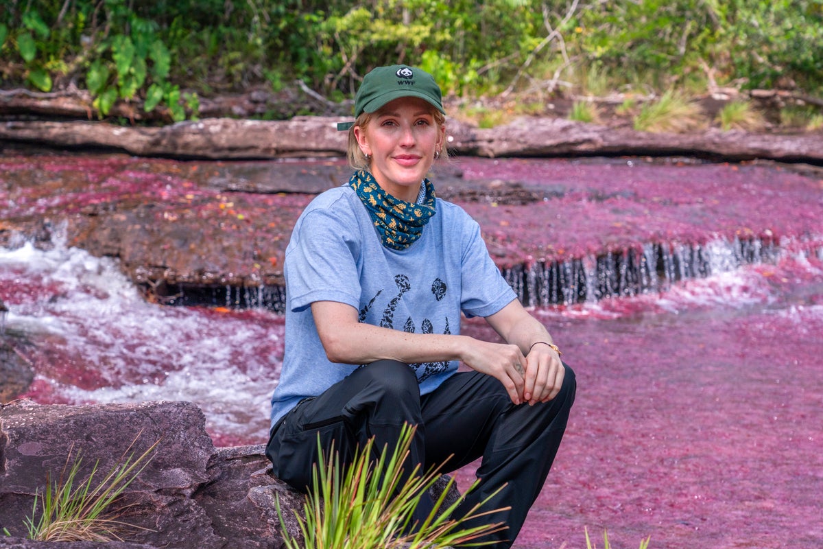 Voices: My journey to the Amazon confirmed we have every reason to worry