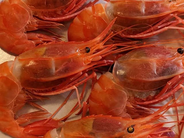 <p>Kauian prawns featured in a dish from Foxface Natural in New York City </p>