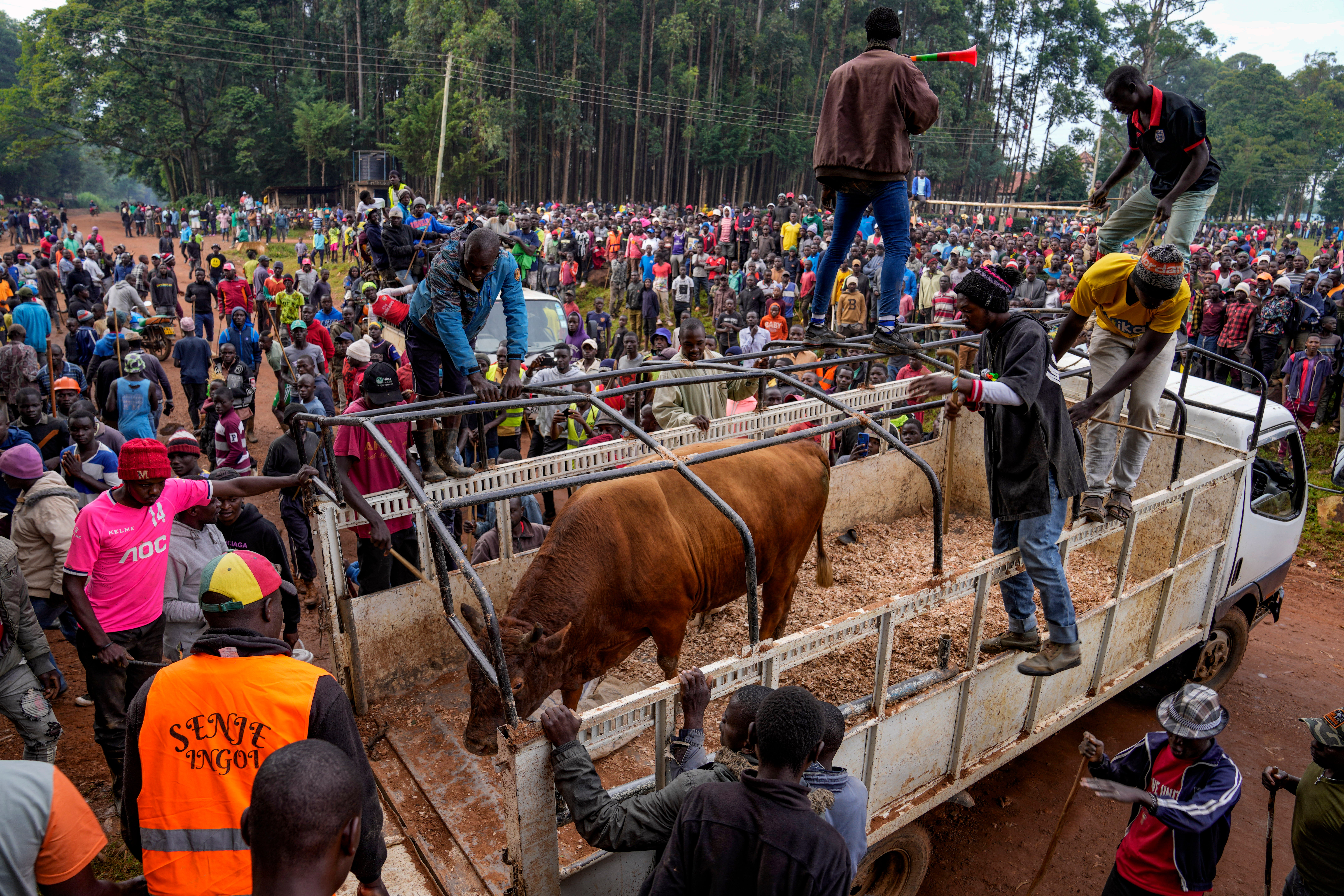 Kenya Bullfighting Competition Photo Gallery