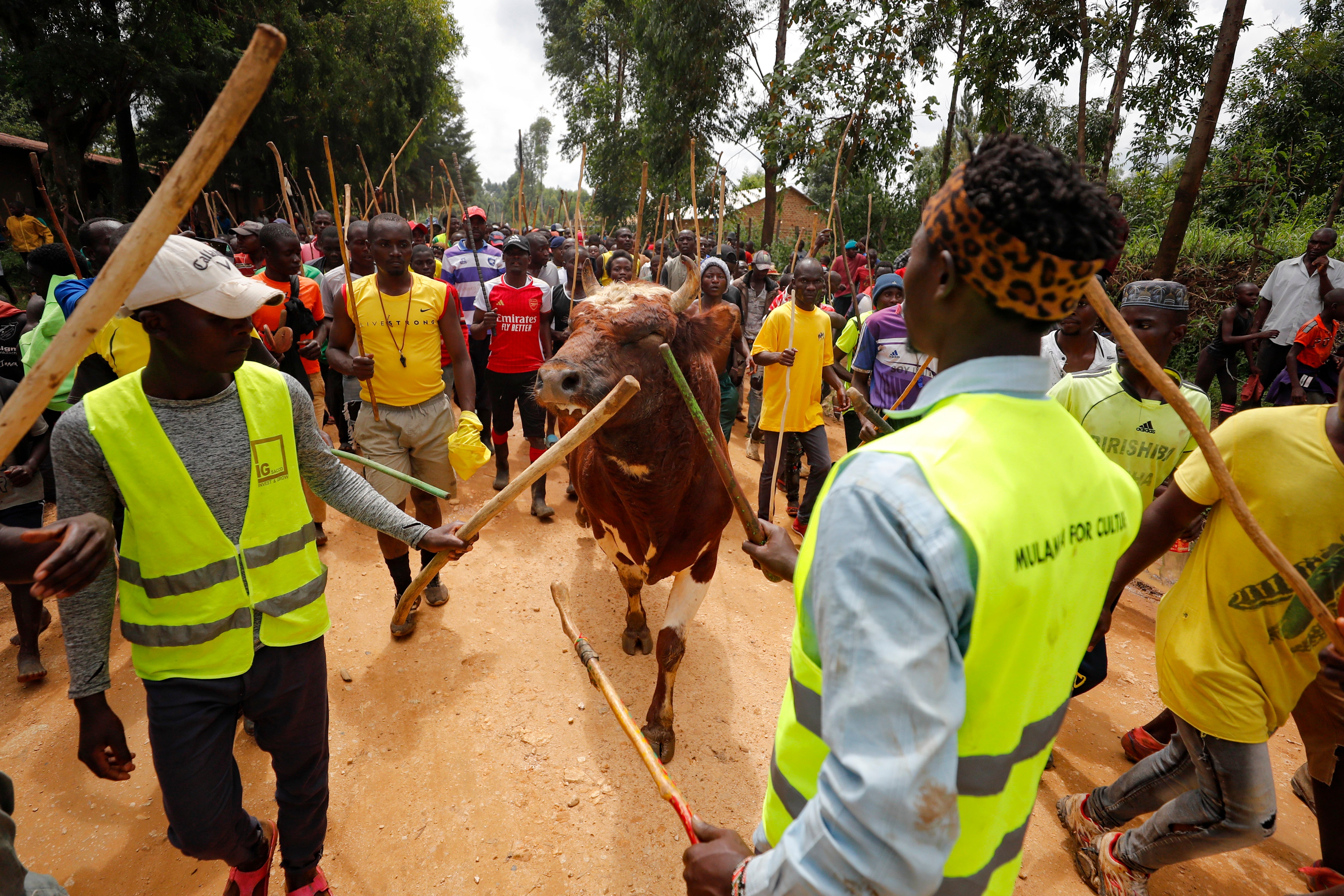 Kenya Bullfighting Competition Photo Gallery