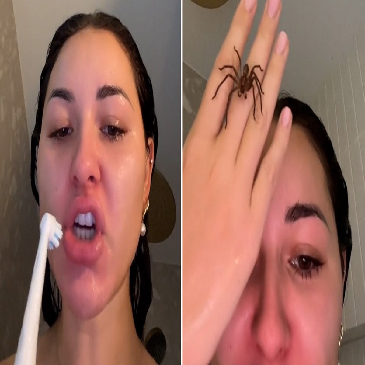 Anna Paul befriends huntsman spider crawling over her body in shower |  Lifestyle | Independent TV