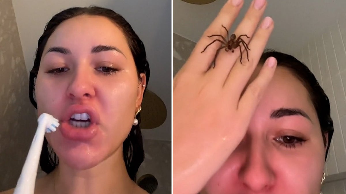 TikTok star Anna Paul befriends huntsman spider crawling all over her body  in shower