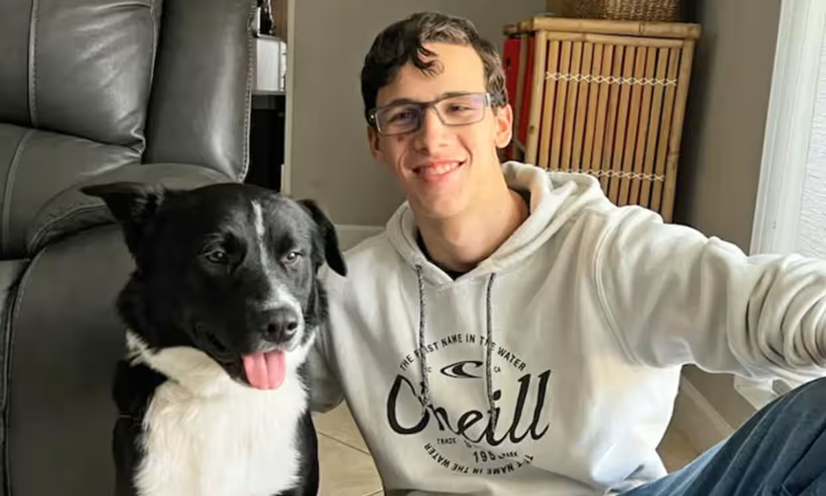 Hero border collie saves teenager&rsquo;s life after he suffered stroke