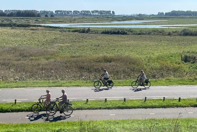 <p>Taking the low road: Flat routes make this Dutch region a joy for relaxed cycling</p>