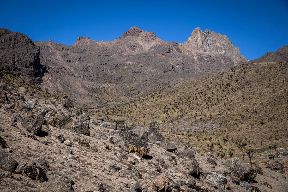 British climber and guide fall to deaths while climbing Mount Kenya British climber and guide fall to deaths while climbing Mount Kenya