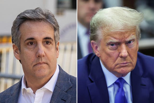 <p>Michael Cohen and Donald Trump face off in court  </p>