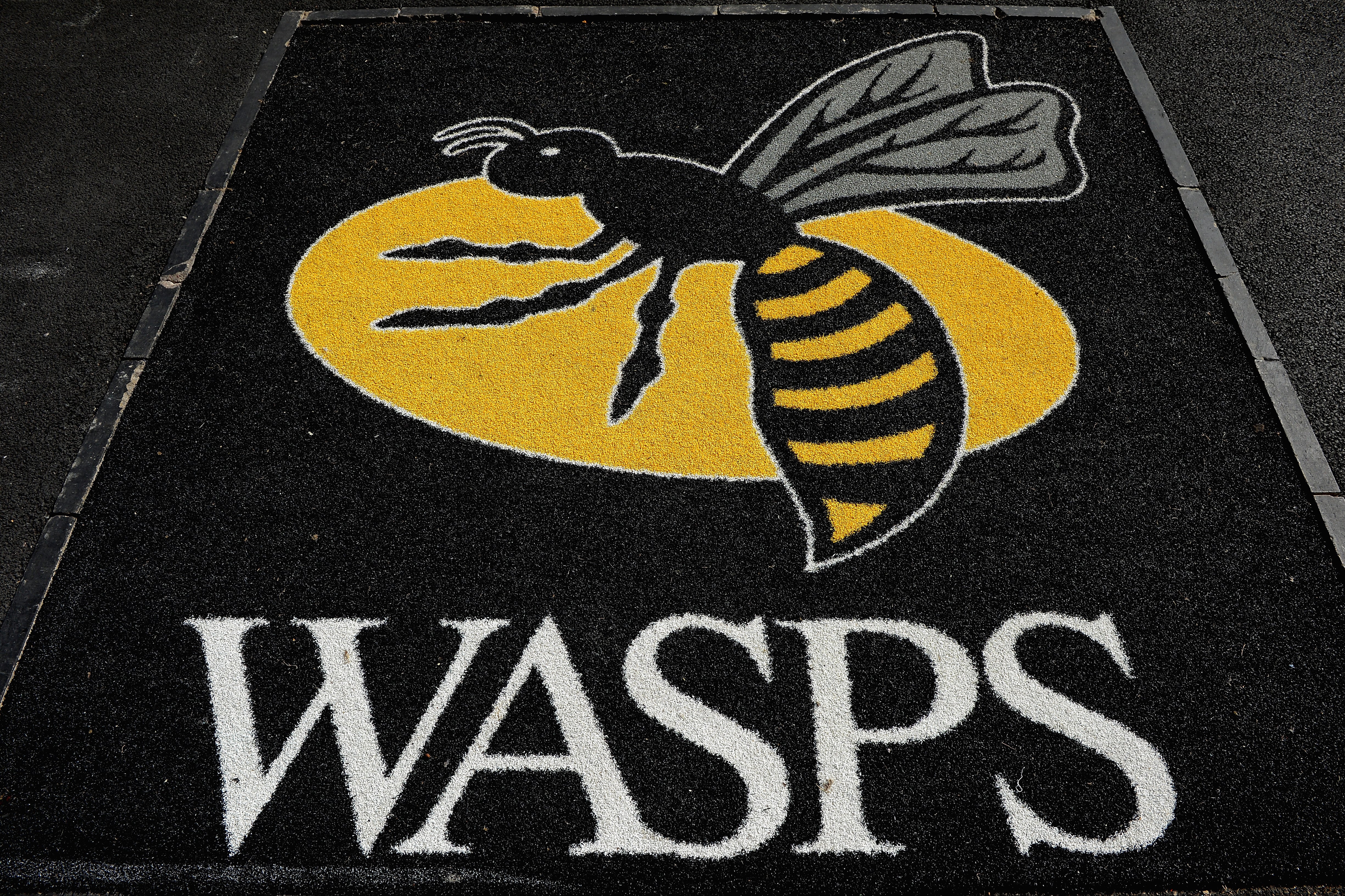 Wasps have announced plans to explore the possible building of a stadium in Kent
