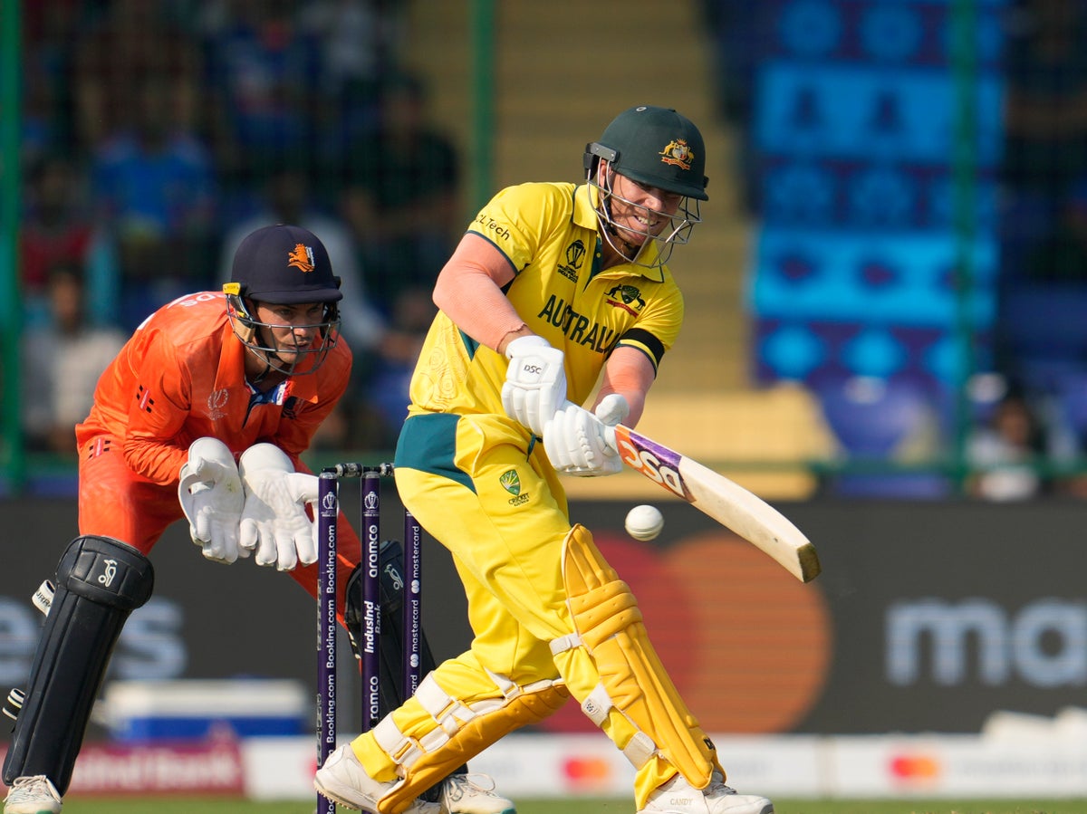 Australia vs Netherlands LIVE: Cricket World Cup score after David Warner and Glenn Maxwell centuries