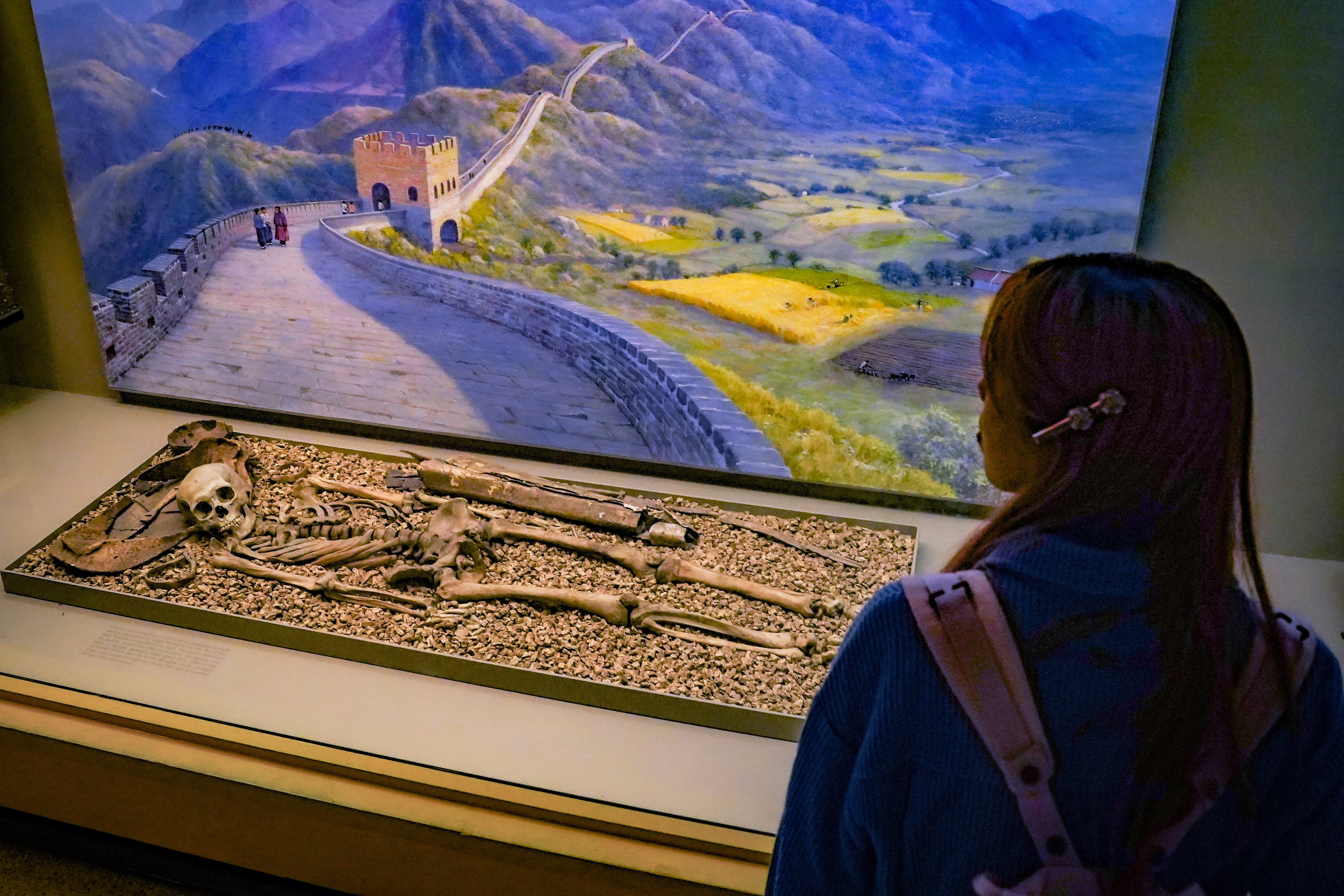 Museum Human Remains