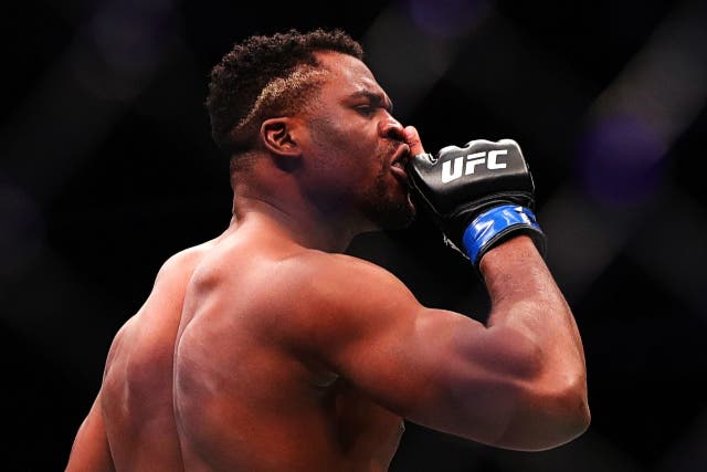 <p>Francis Ngannou during his mesmerising UFC run</p>