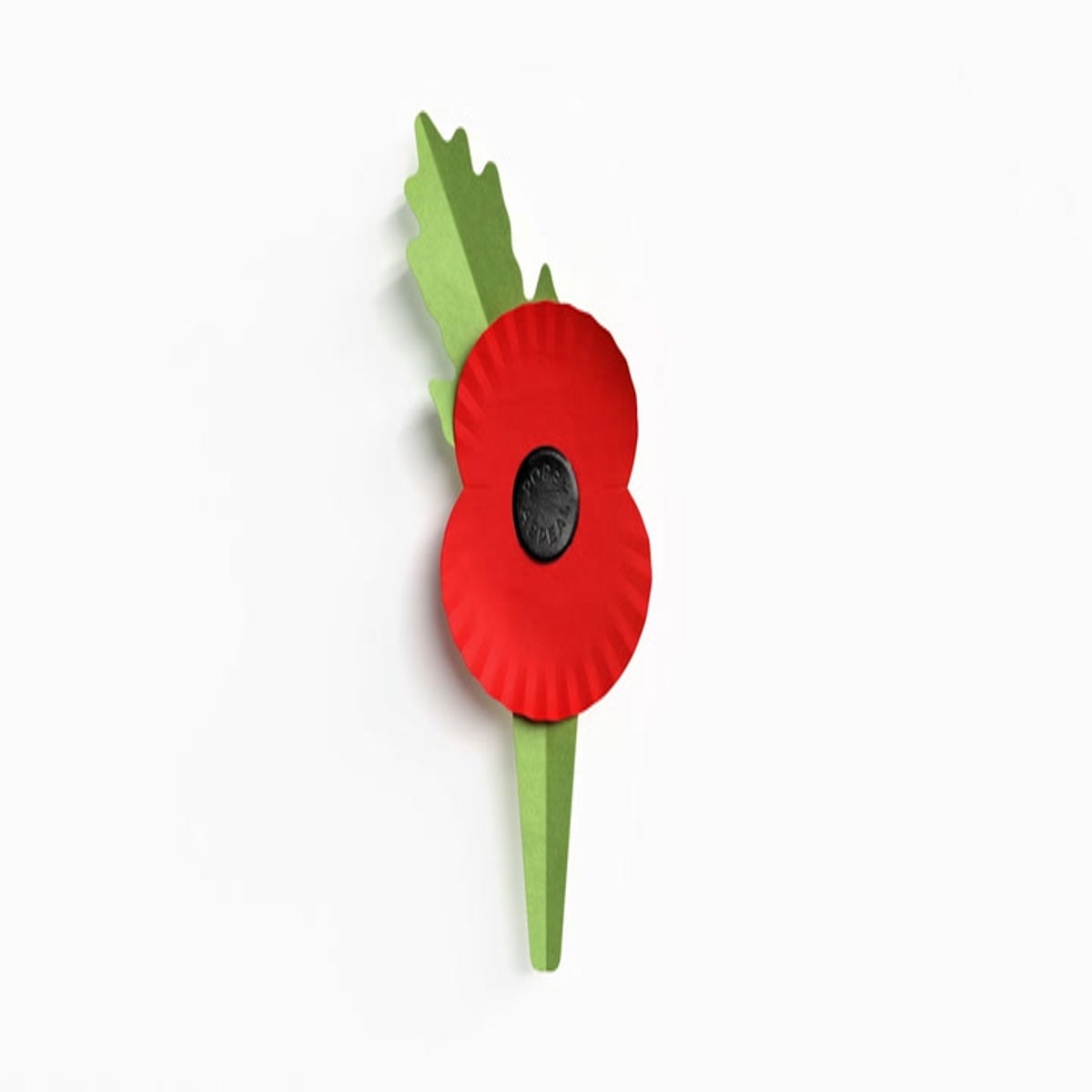 First look at new poppy as Royal British Legion launches eco campaign, News