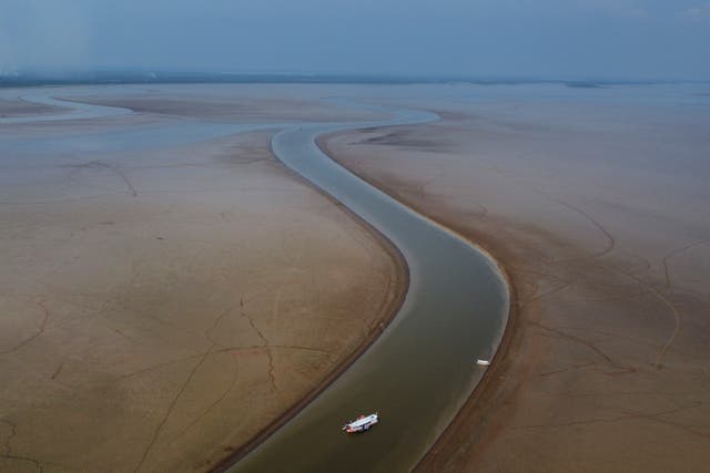 <p>A boat travels through a section of the Amazon hit by drought in the state of Amazonas, near Manacapuru, Brazil </p>