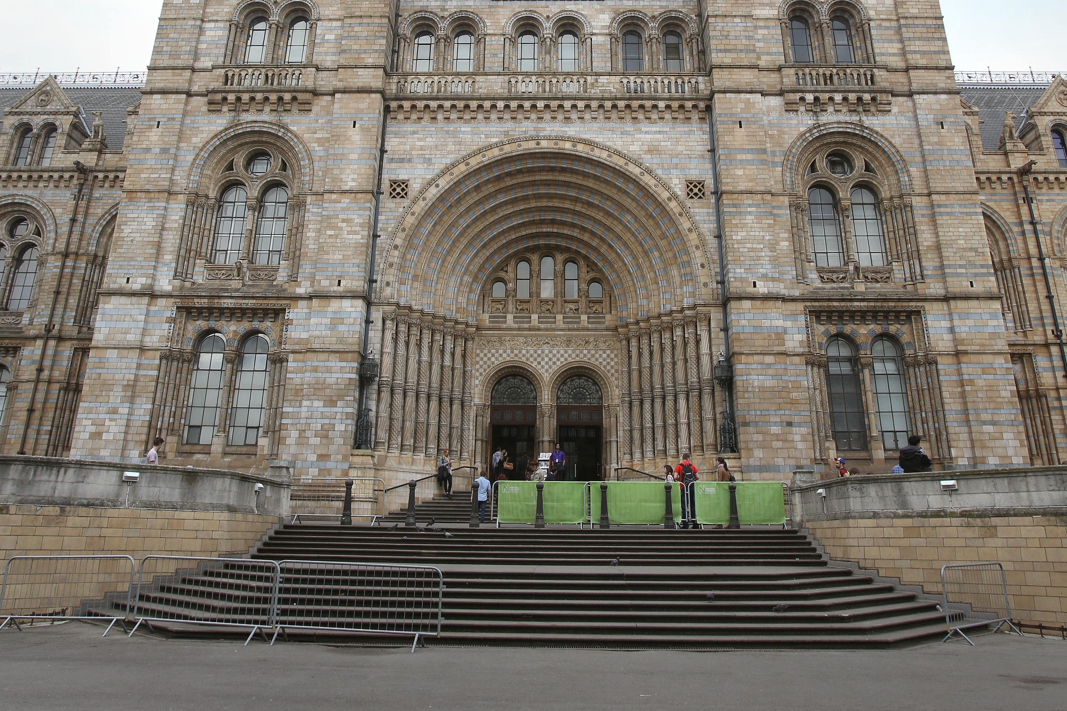 The Natural History Museum disclosed 13 items had gone missing over the last five years