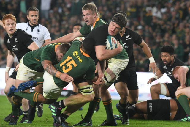 <p>The Spingboks and All Blacks will do battle in the Rugby World Cup final </p>
