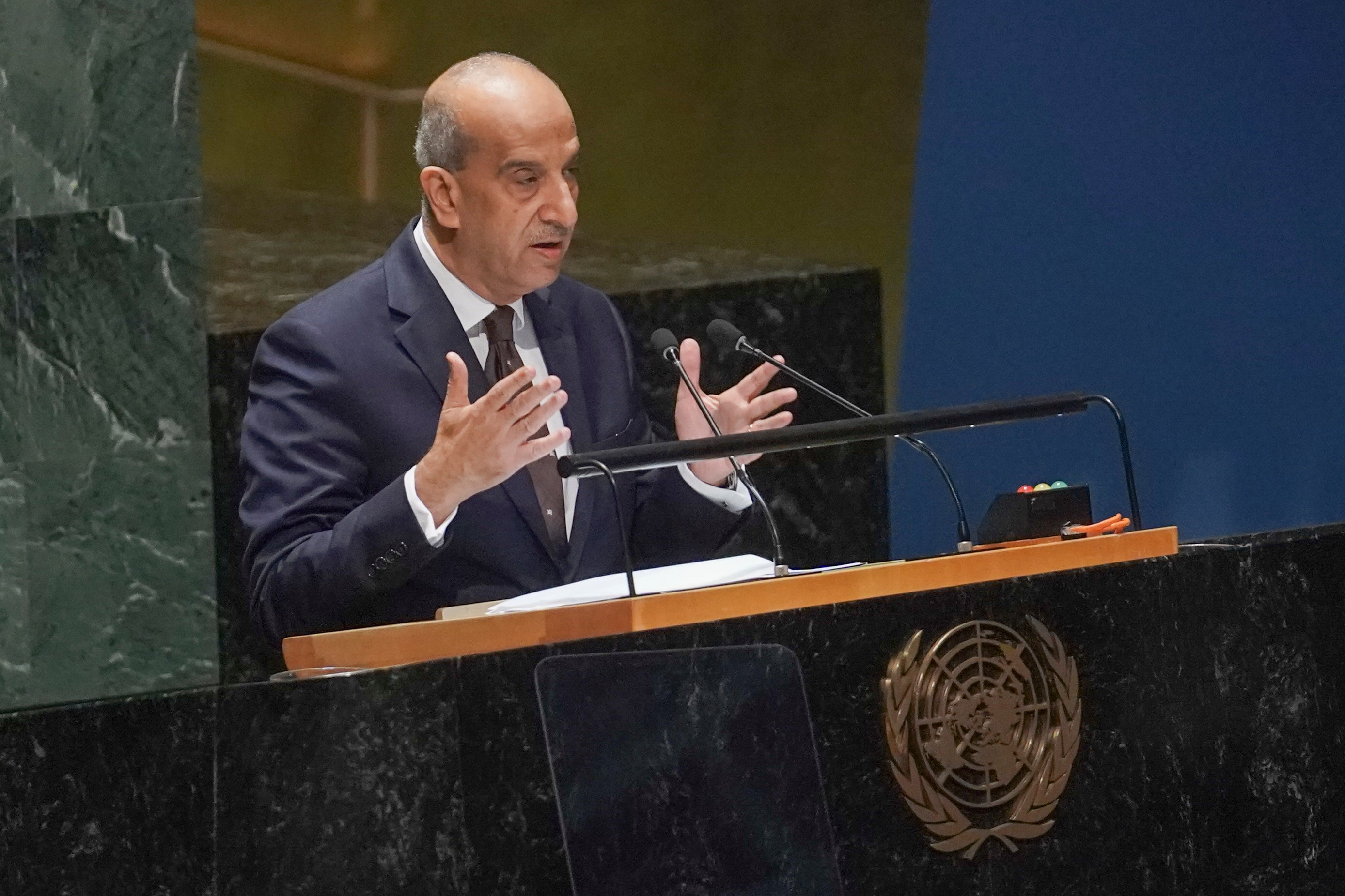 United Nations General Assembly