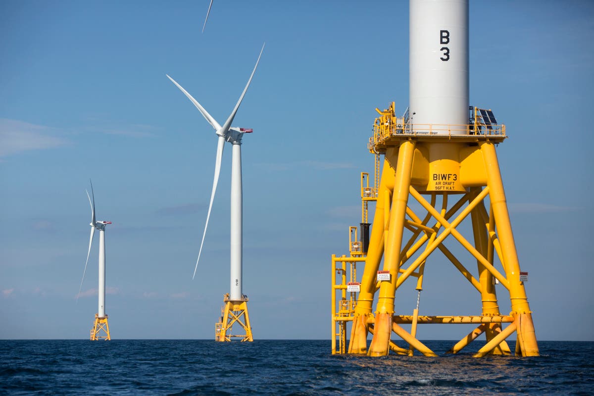 Four tracts of federal waters in the Gulf of Mexico are designated for wind power development