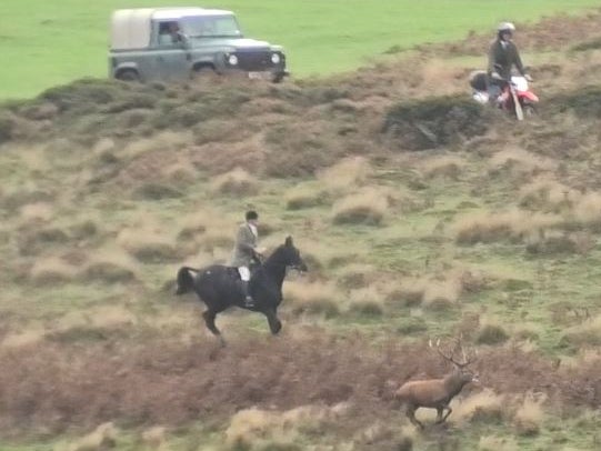 The stag is chased by a rider, a motorbike and a 4x4 vehicle