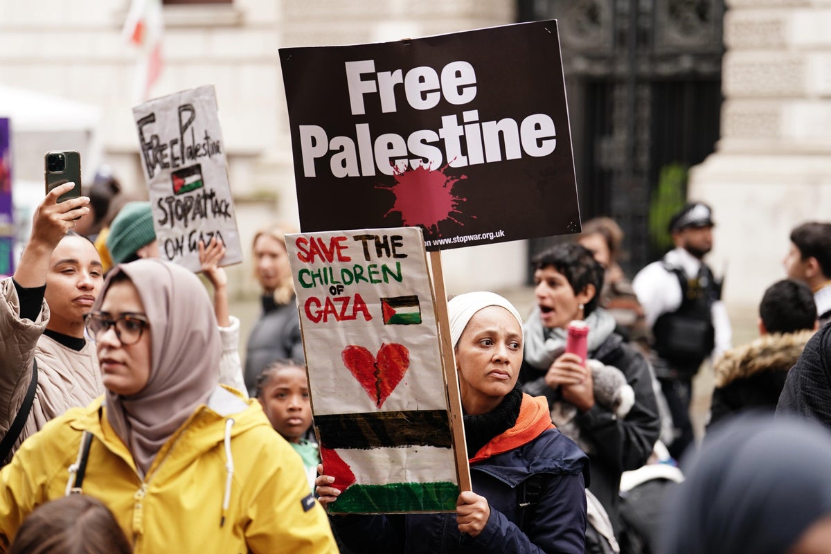 London set for massive pro-Palestinian protest demanding Gaza ceasefire
