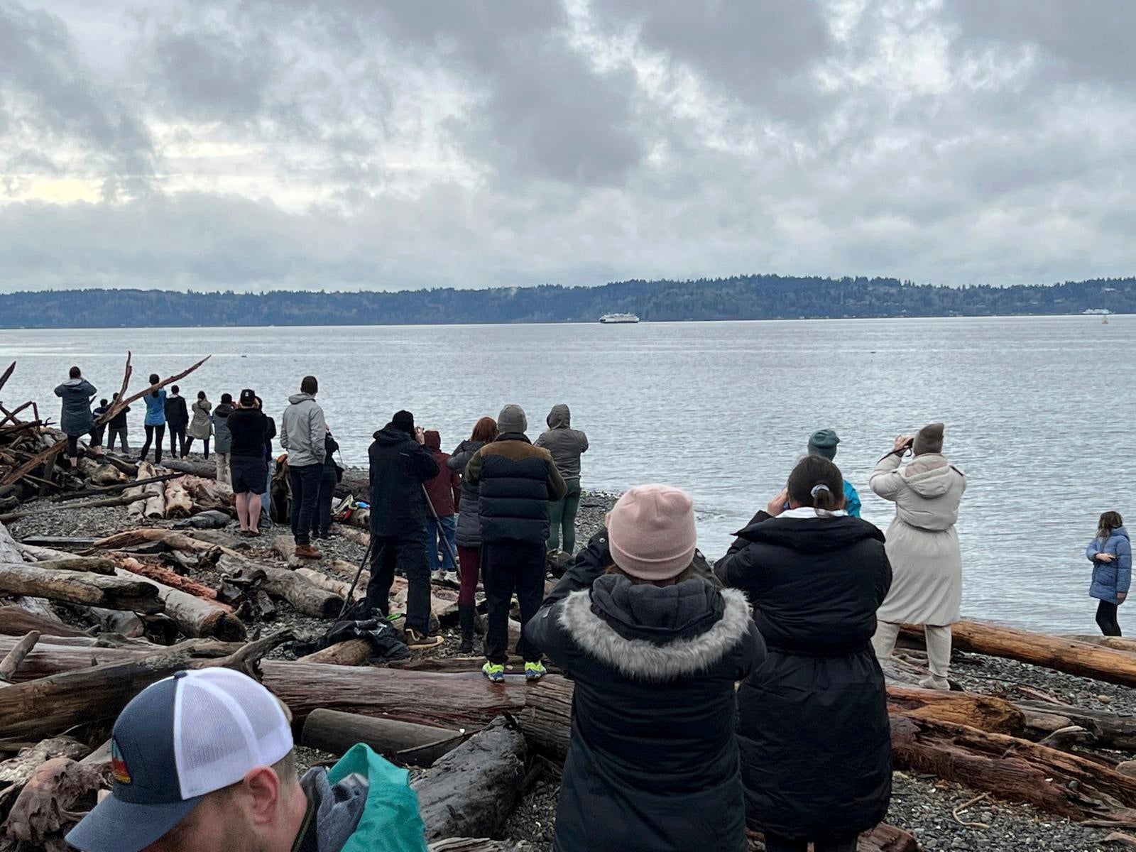 Whale Watching Group Chat