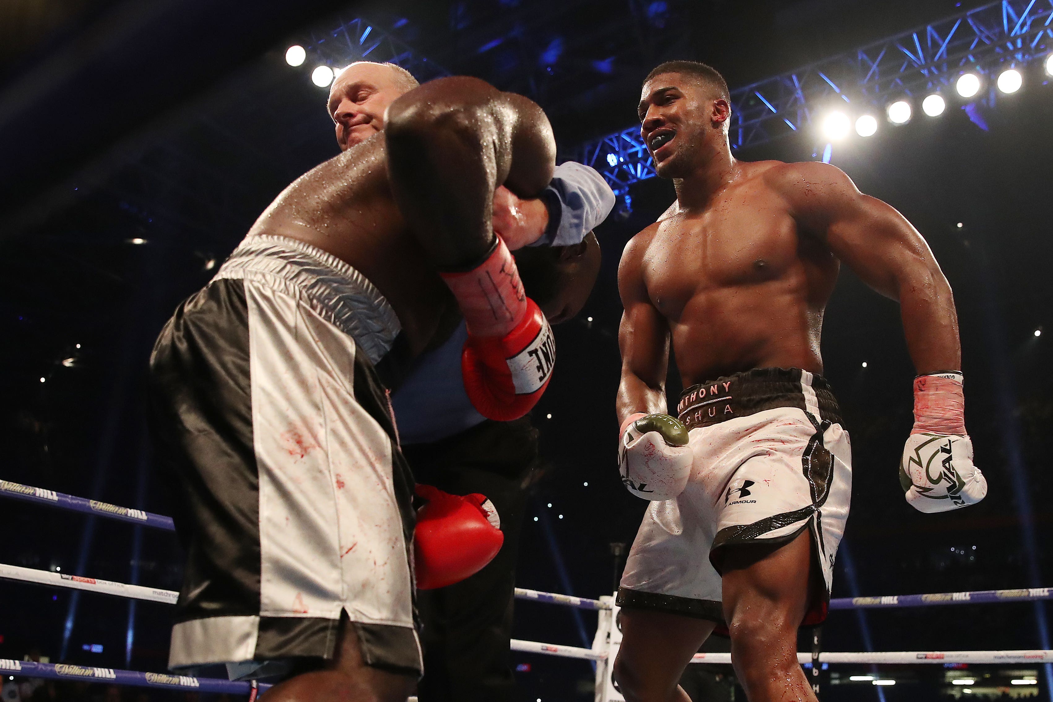 Joshua stopped Takam in the 10th round (Nick Potts/PA)