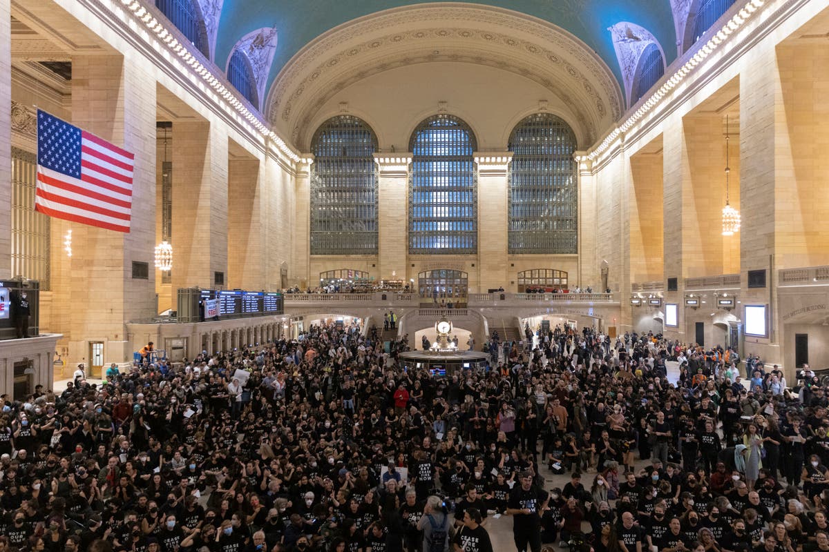 Protesters swarm Grand Central station to demand Israeli ceasefire
