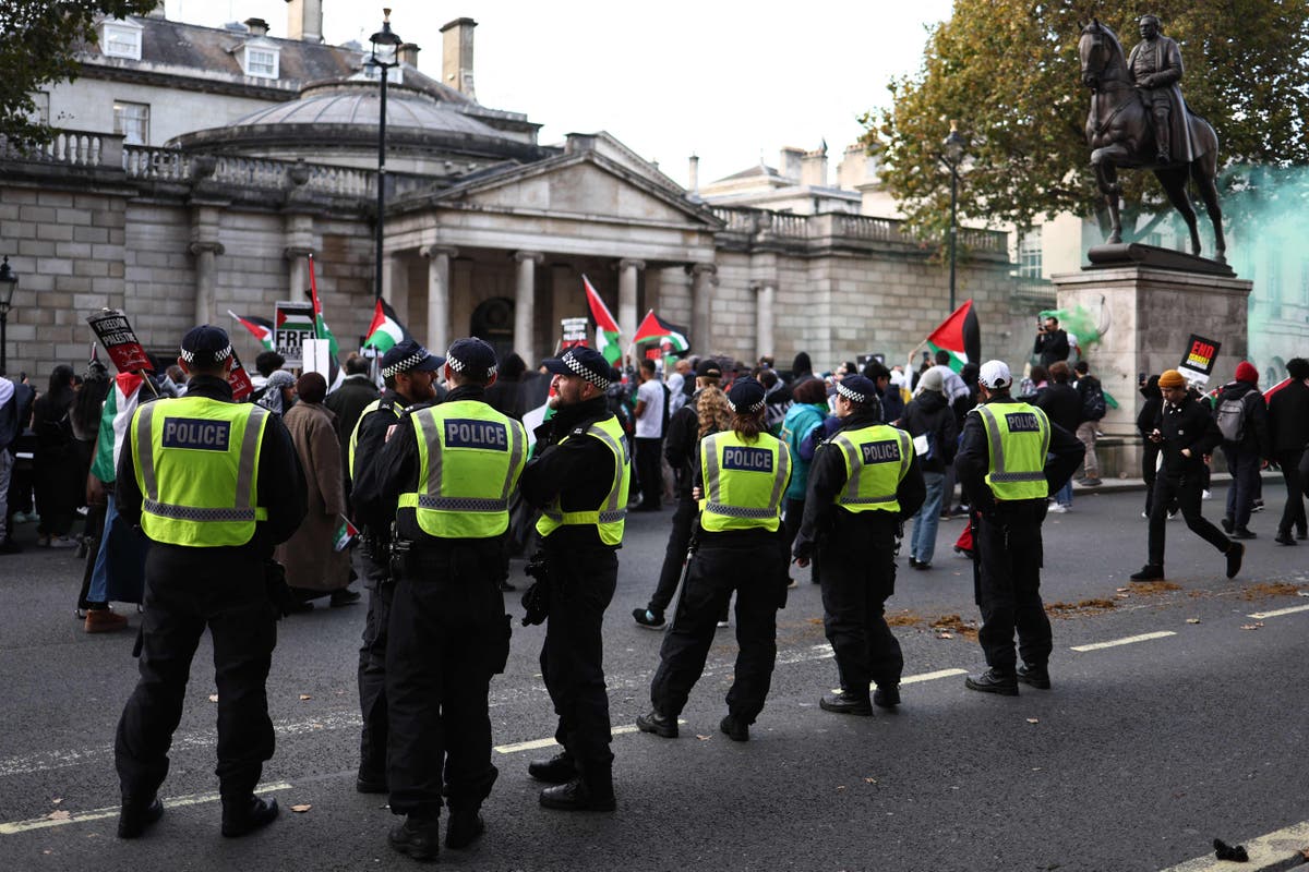 Boy, 16, among five charged after pro-Palestinian protest in London
