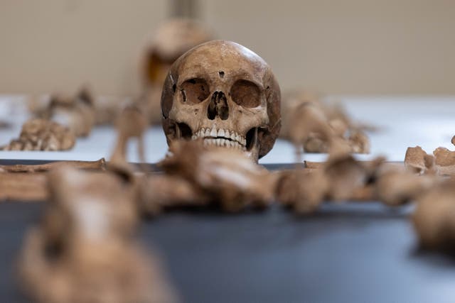 <p>Remains of the woman found at the 17th century cemetery for rejected people in the village of Pien, northern Poland, are revealed by Polish archaeologists from Nicolas Copernicus University in Torun</p>