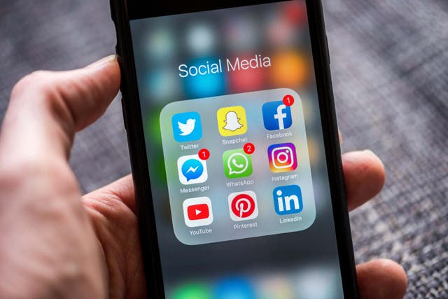Facebook and Instagram are letting users in the EU pay to stop seeing adverts (Alamy/PA)