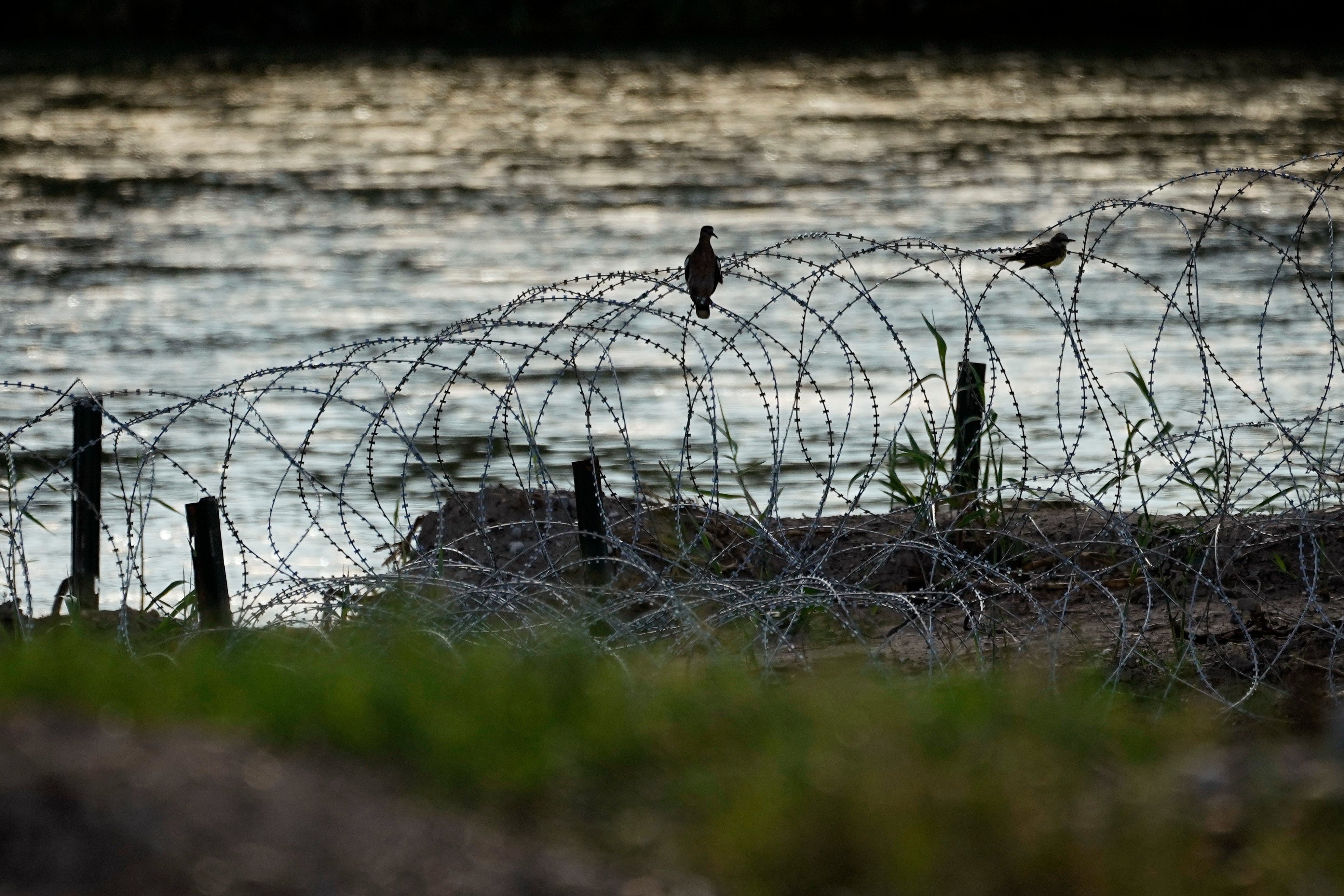 Birds rest on concertina wire, or razor wire, along the Rio Grande in Eagle Pass, Texas, July 6, 2023