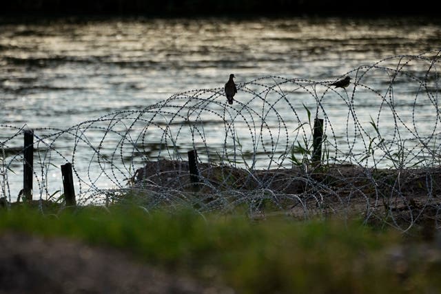 <p>Birds rest on concertina wire, or razor wire, along the Rio Grande in Eagle Pass, Texas, July 6, 2023</p>